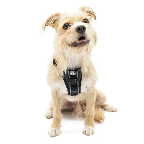 Kurgo Dog Harness | Pet Walking Harness | Small | Black...