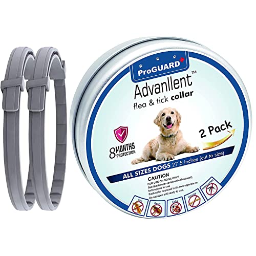Advanllent Flea Collar for Dogs, 8 Month Flea and Tick Prevention, 27 inch Adjustable, 2 Count