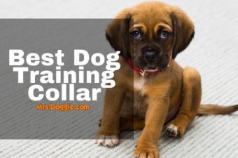Remote Dog training collars list