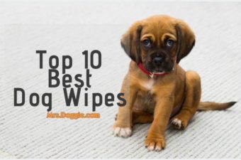 Top Rated Dog Wipes List