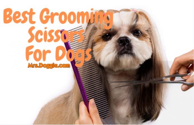 Grooming Scissors and Shears for Pets