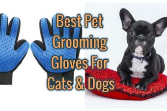 Grooming Gloves for Dogs and Cats List