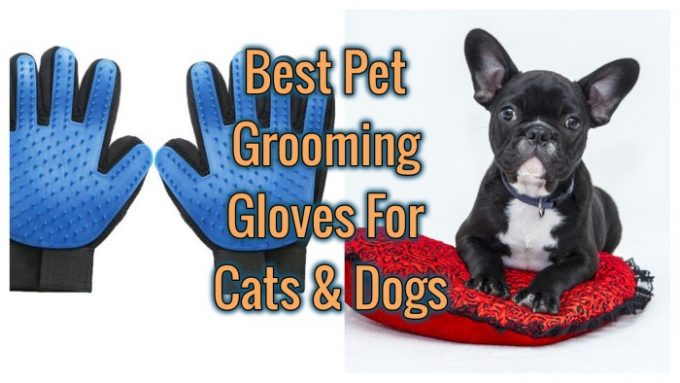 Grooming Gloves for Dogs and Cats List