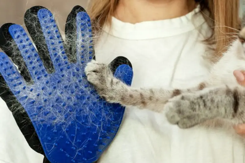 Grooming gloves for cats