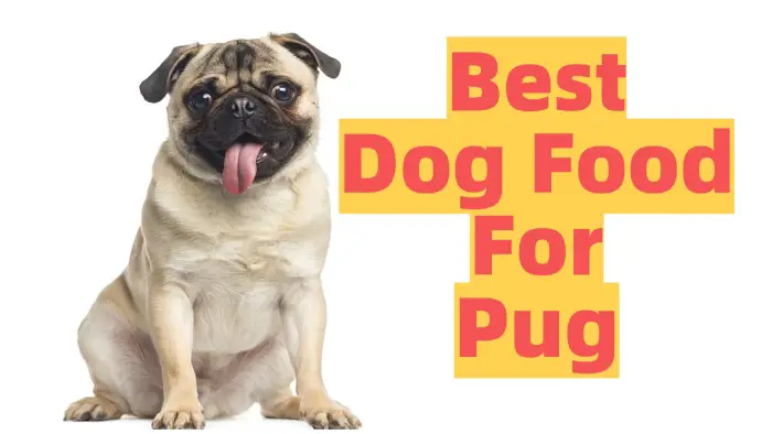dog food for pugs list