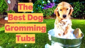 Dog bath tubs review