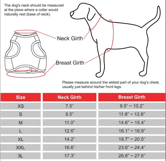 Best Harness for Pugs [TOP PICKS & GUIDE] 2024 | MrsDoggie